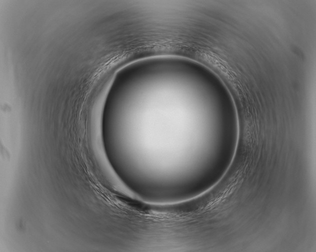 X0000091100673200708061420