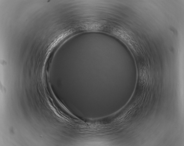 X0000091100674200708061420