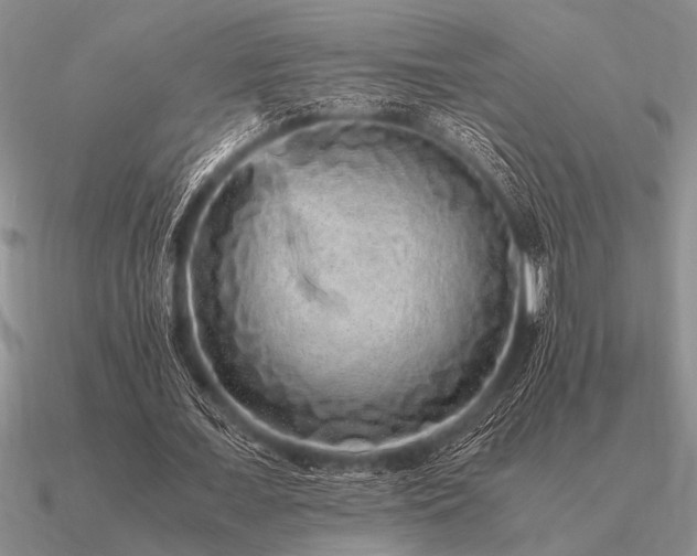 X0000091100675200708061420