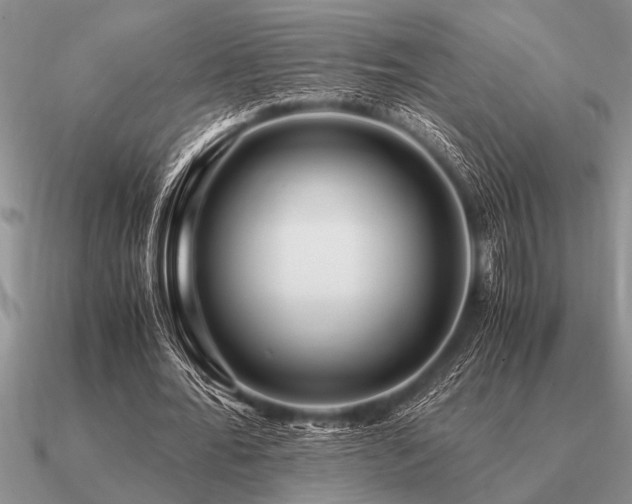 X0000091100676200708061420