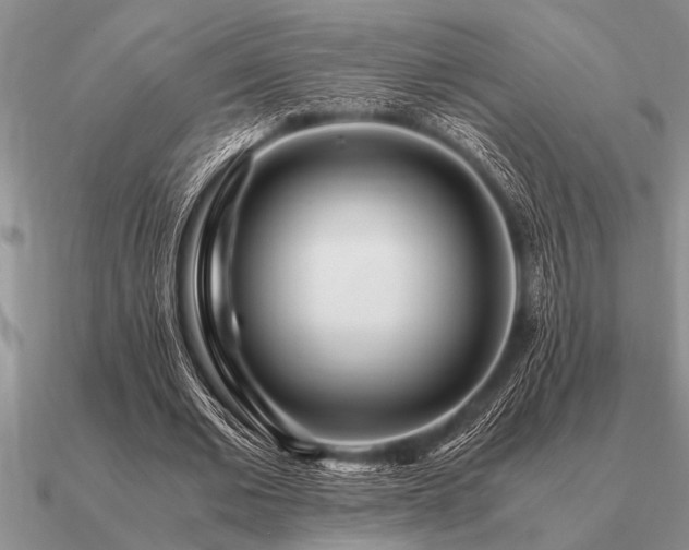 X0000091100677200708061420