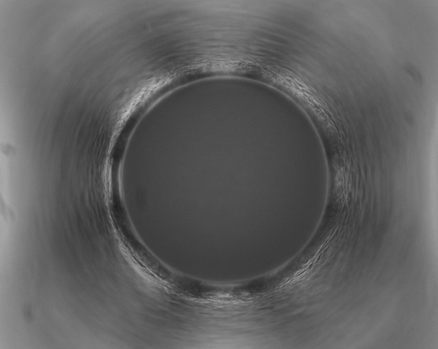 X0000091100678200708061420