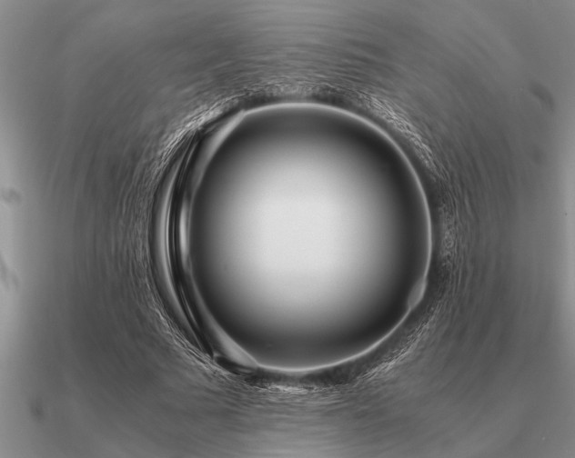 X0000091100681200708061420