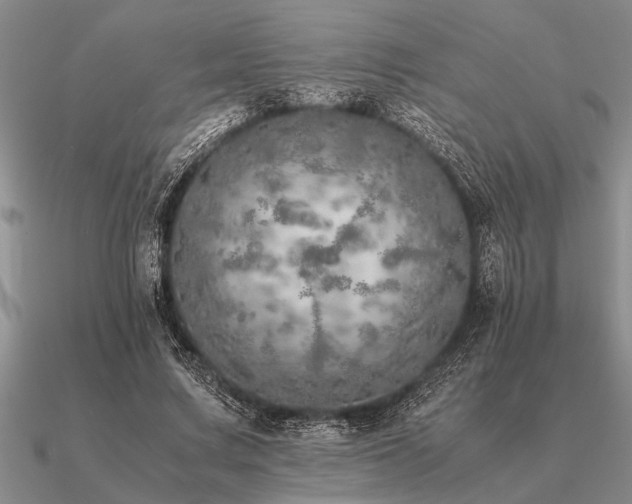 X0000091100683200708061420