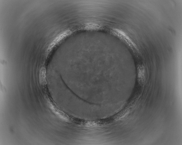 X0000091100684200708061420