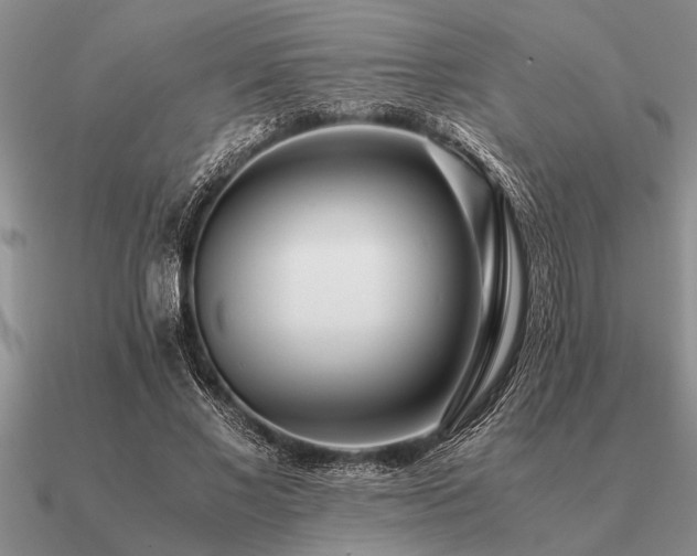 X0000091100685200708061420