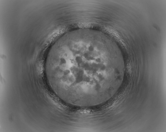 X0000091100687200708061420