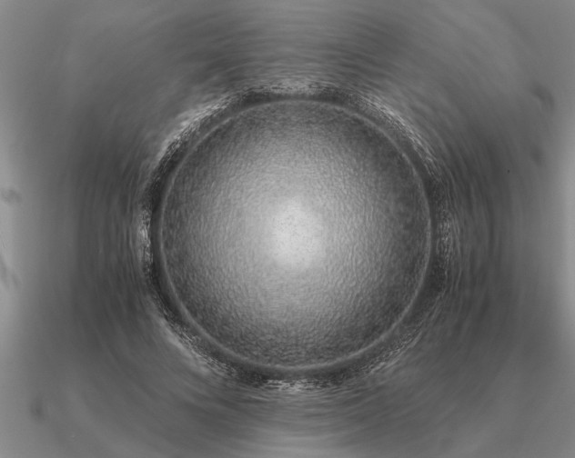 X0000091100688200708061420