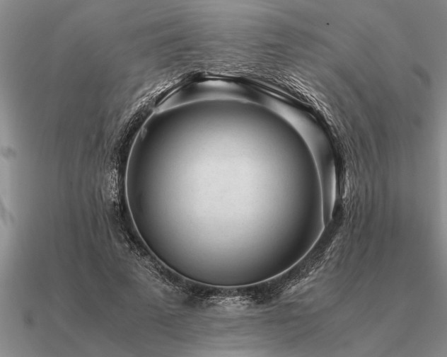 X0000091100689200708061420