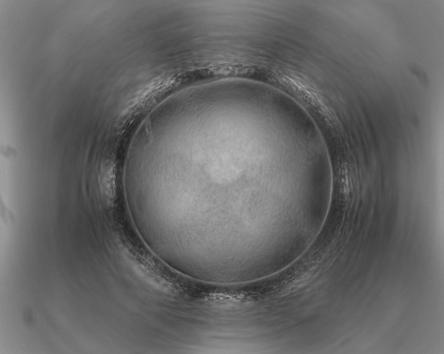 X0000091100690200708061420