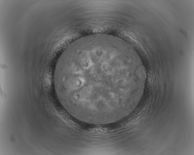 X0000091100691200708061420