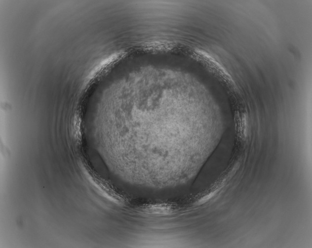 X0000091100692200708061420