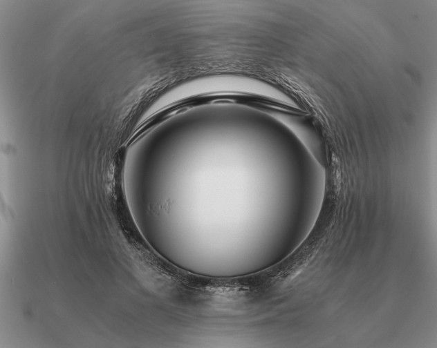 X0000091100693200708061420