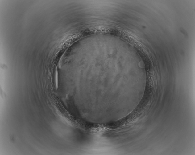 X0000091100695200708061420