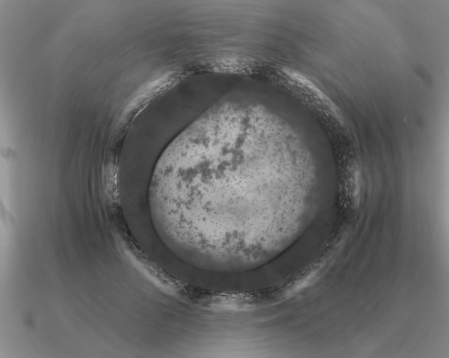 X0000091100696200708061420