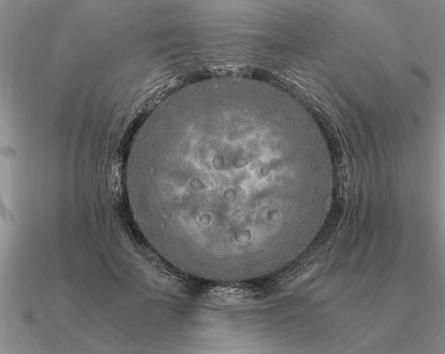 X0000091100699200708061420