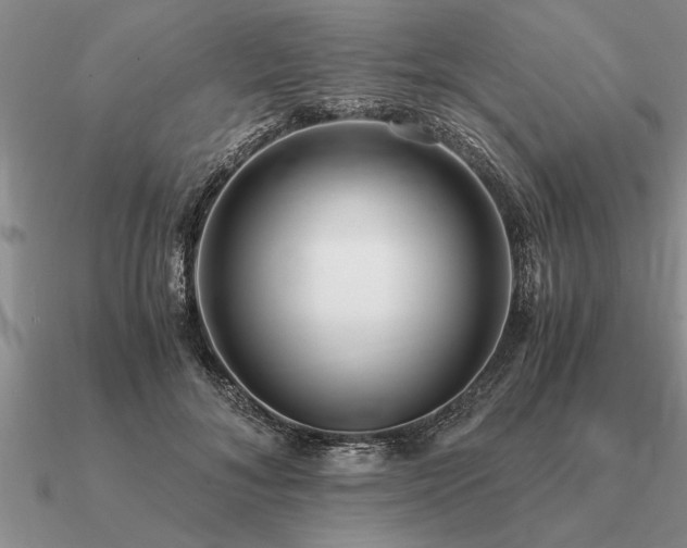 X0000091100700200708061420