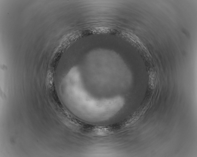 X0000091100701200708061420