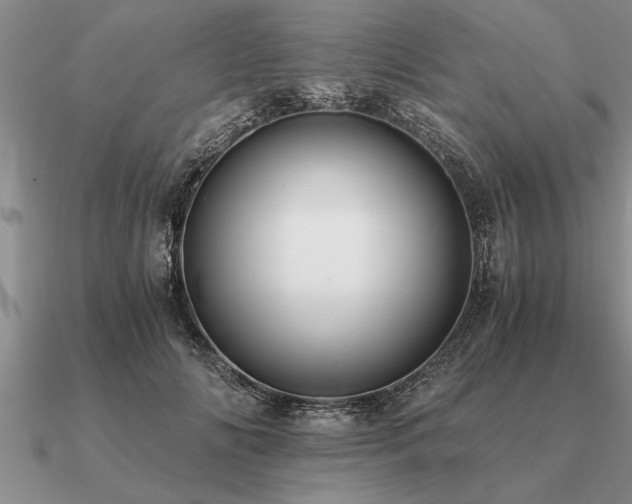 X0000091100702200708061420