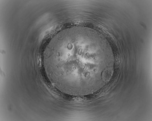 X0000091100703200708061420