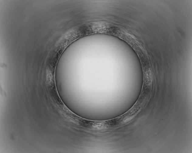 X0000091100705200708061420