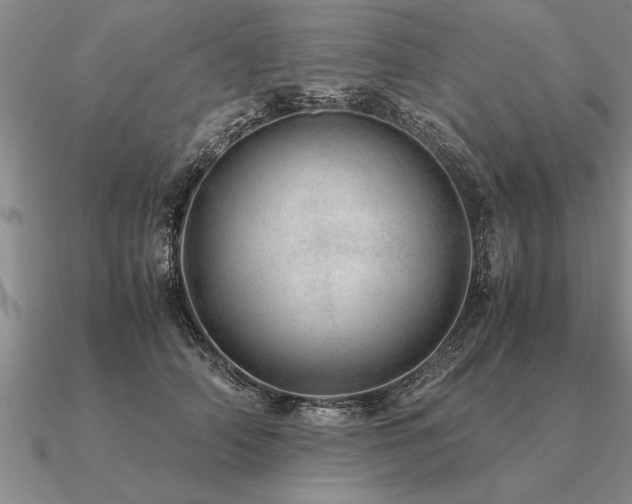 X0000091100706200708061420