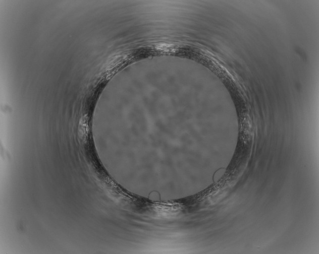 X0000091100707200708061420