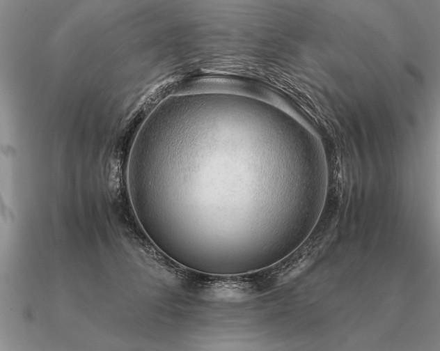 X0000091100708200708061420