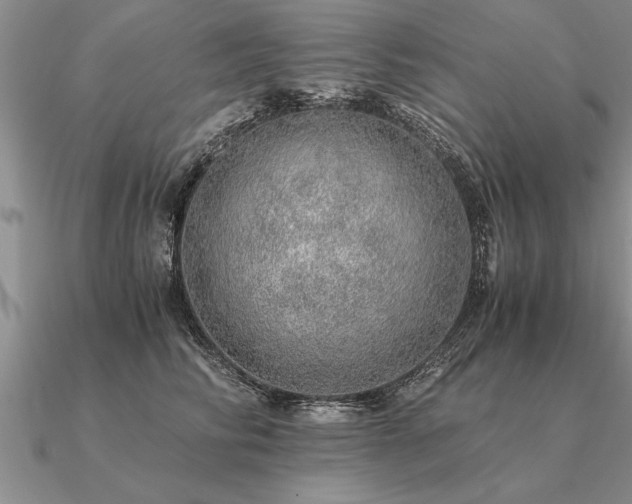 X0000091100710200708061420