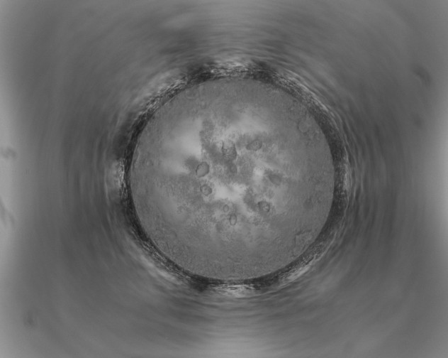 X0000091100711200708061420