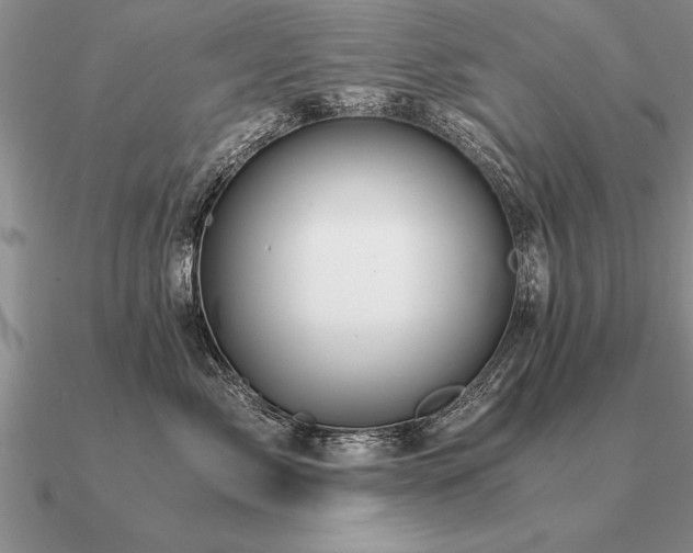 X0000091100717200708061420