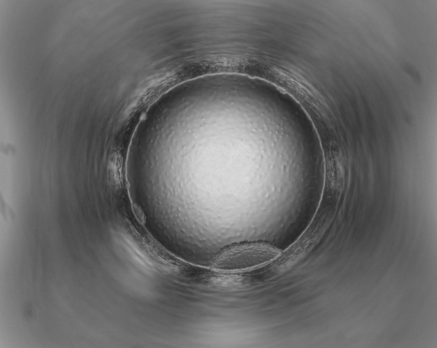 X0000091100718200708061420