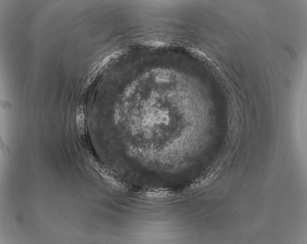 X0000091100720200708061420