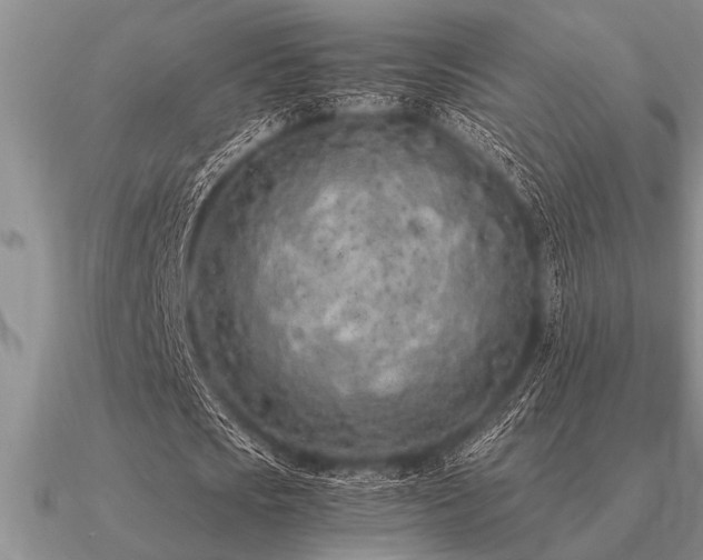 X0000091100721200708061419