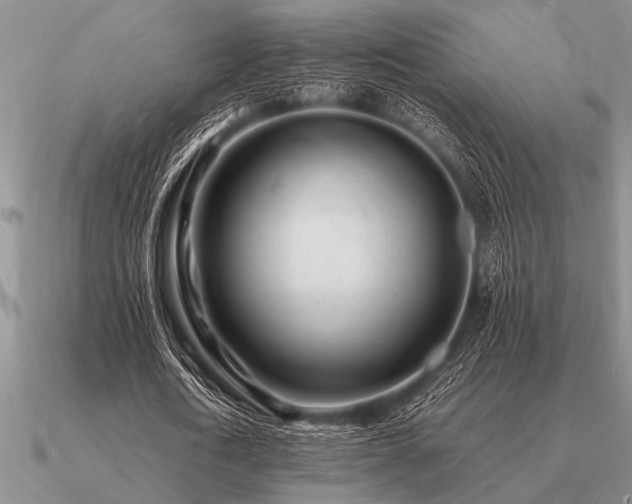 X0000091100722200708061419