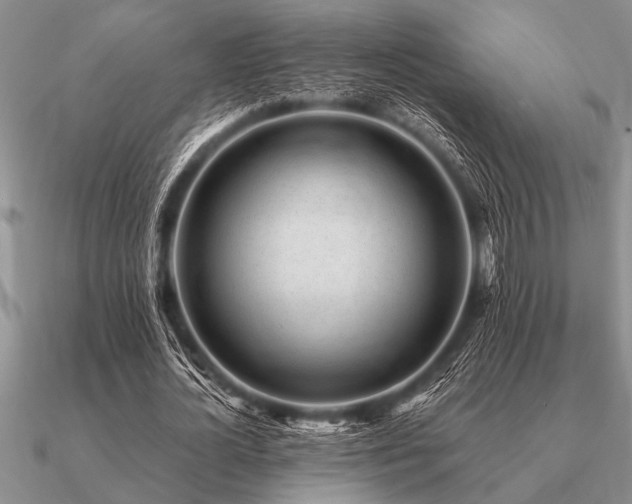 X0000091100724200708061419