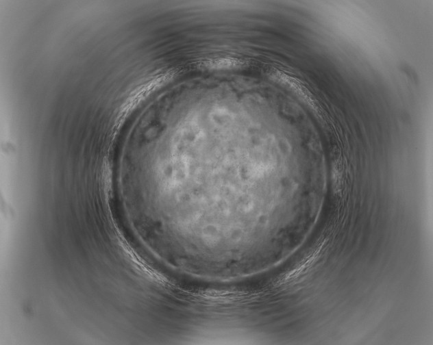 X0000091100725200708061419