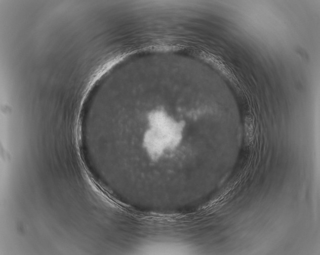 X0000091100726200708061419