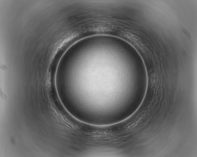 X0000091100727200708061419