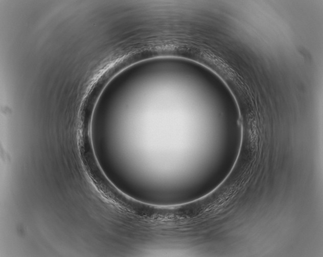 X0000091100728200708061419