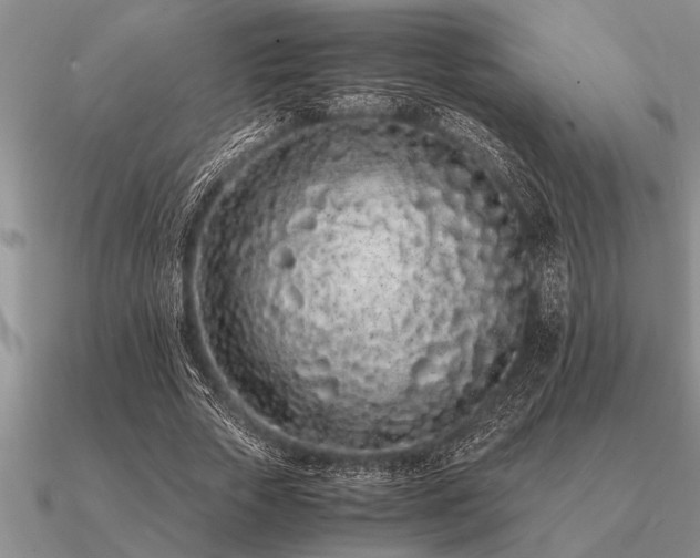 X0000091100729200708061419