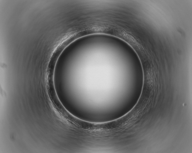 X0000091100730200708061419