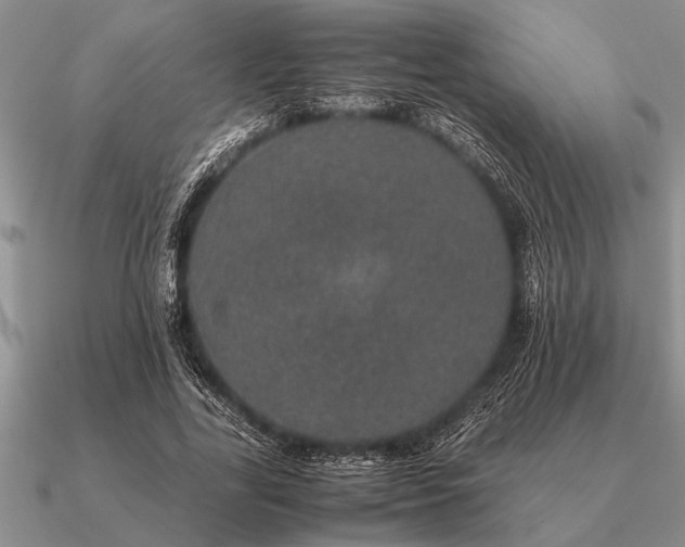 X0000091100731200708061419