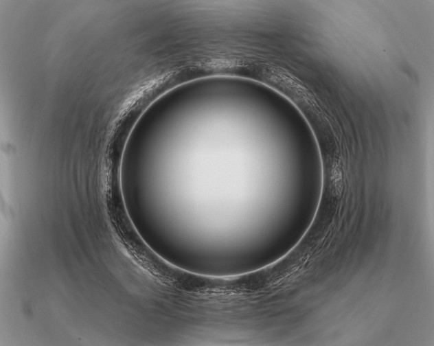 X0000091100732200708061419