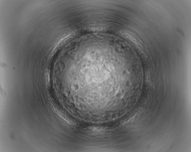 X0000091100733200708061419