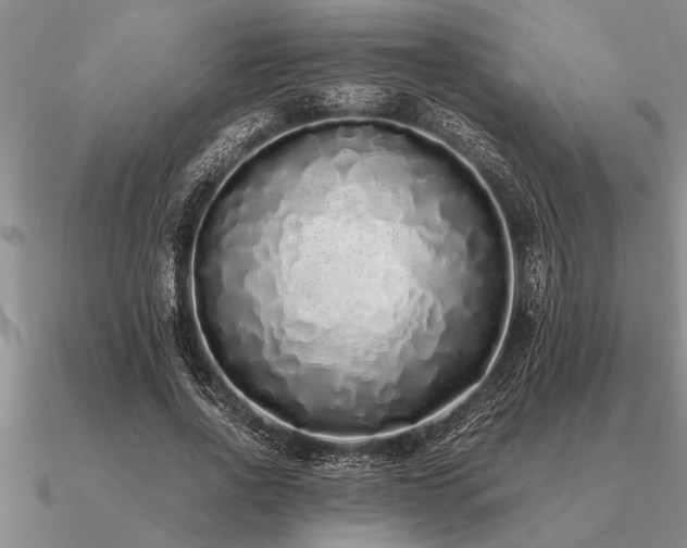 X0000091100734200708061419