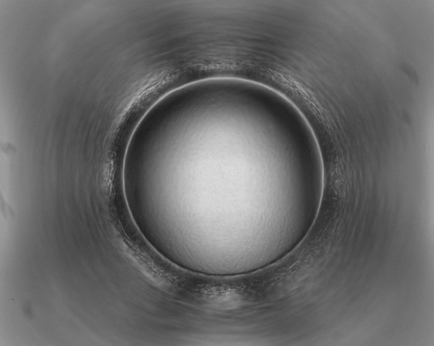 X0000091100735200708061419