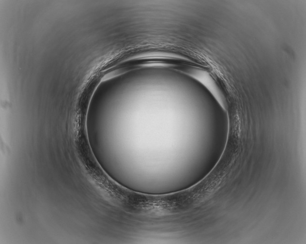 X0000091100736200708061419