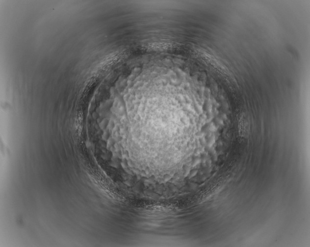 X0000091100737200708061419