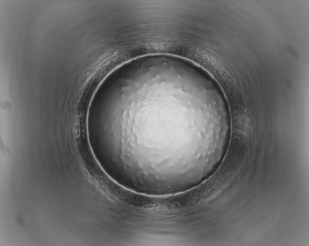 X0000091100738200708061419